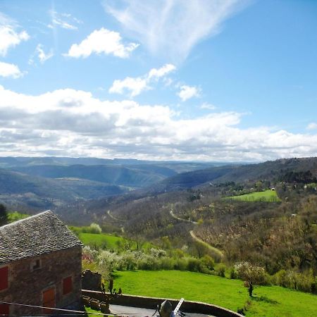 Villa L 'Oustal De Sophie En Aveyron, A Montjaux Exterior foto